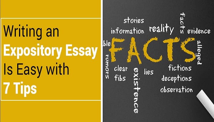 Write an Expository Essay